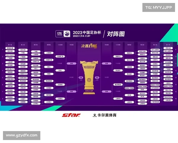 2023年法国对阵波兰比赛中的五大关键细节分析